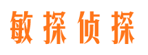 清水河侦探